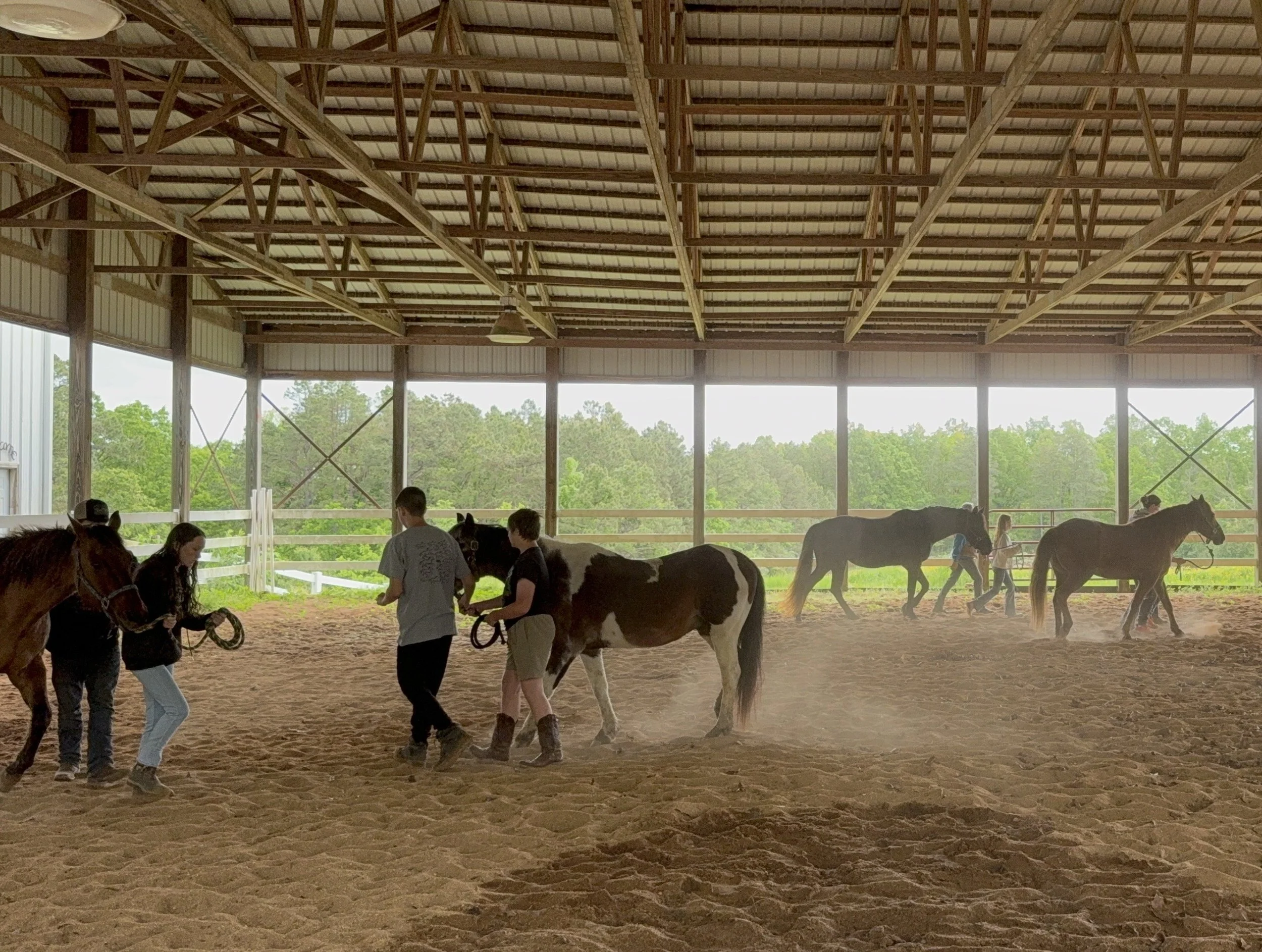 Photo May 03 2025, 9 40 26 AM.jpg