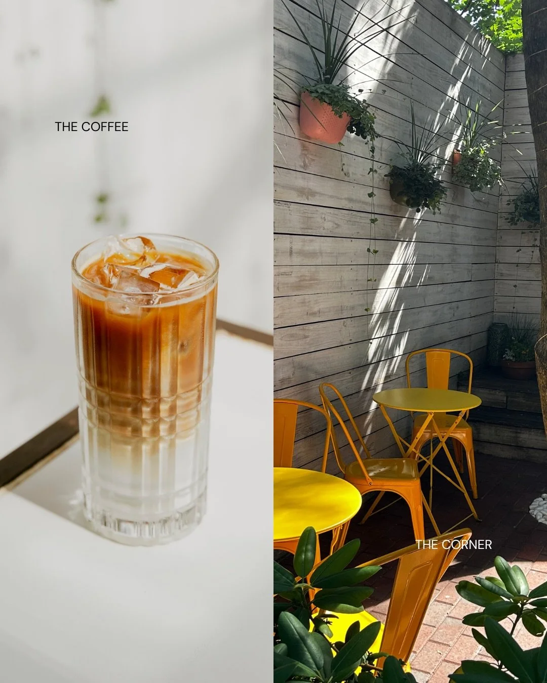 Choose your vibe | #parisbornbrooklynfed 
&hellip;
Pictured: Cafe au lait , Matcha Latte, Avocado Toast
Served Daily: 11a-3p