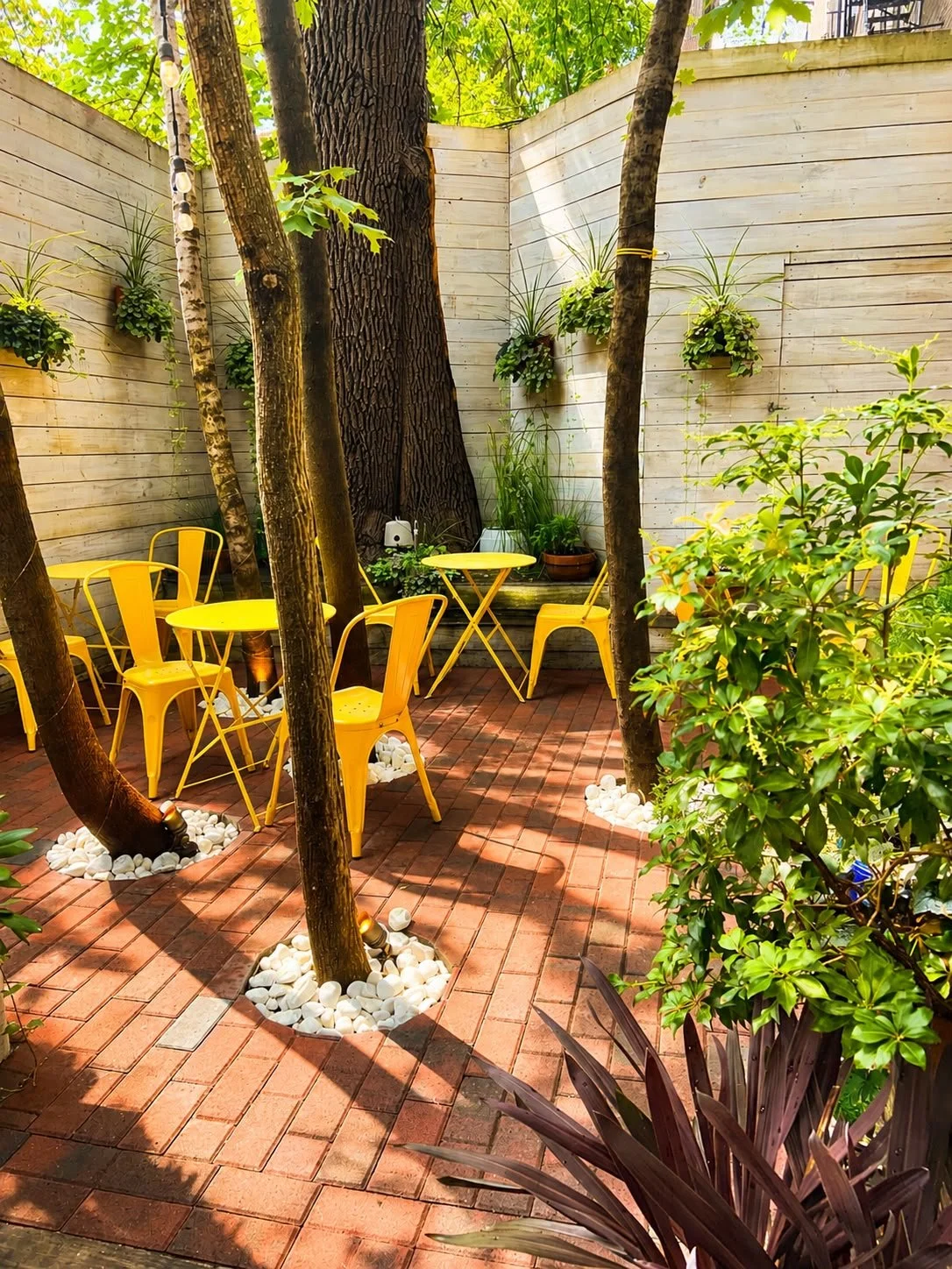 September Sips In Our Garden — Perfect Pairing.
