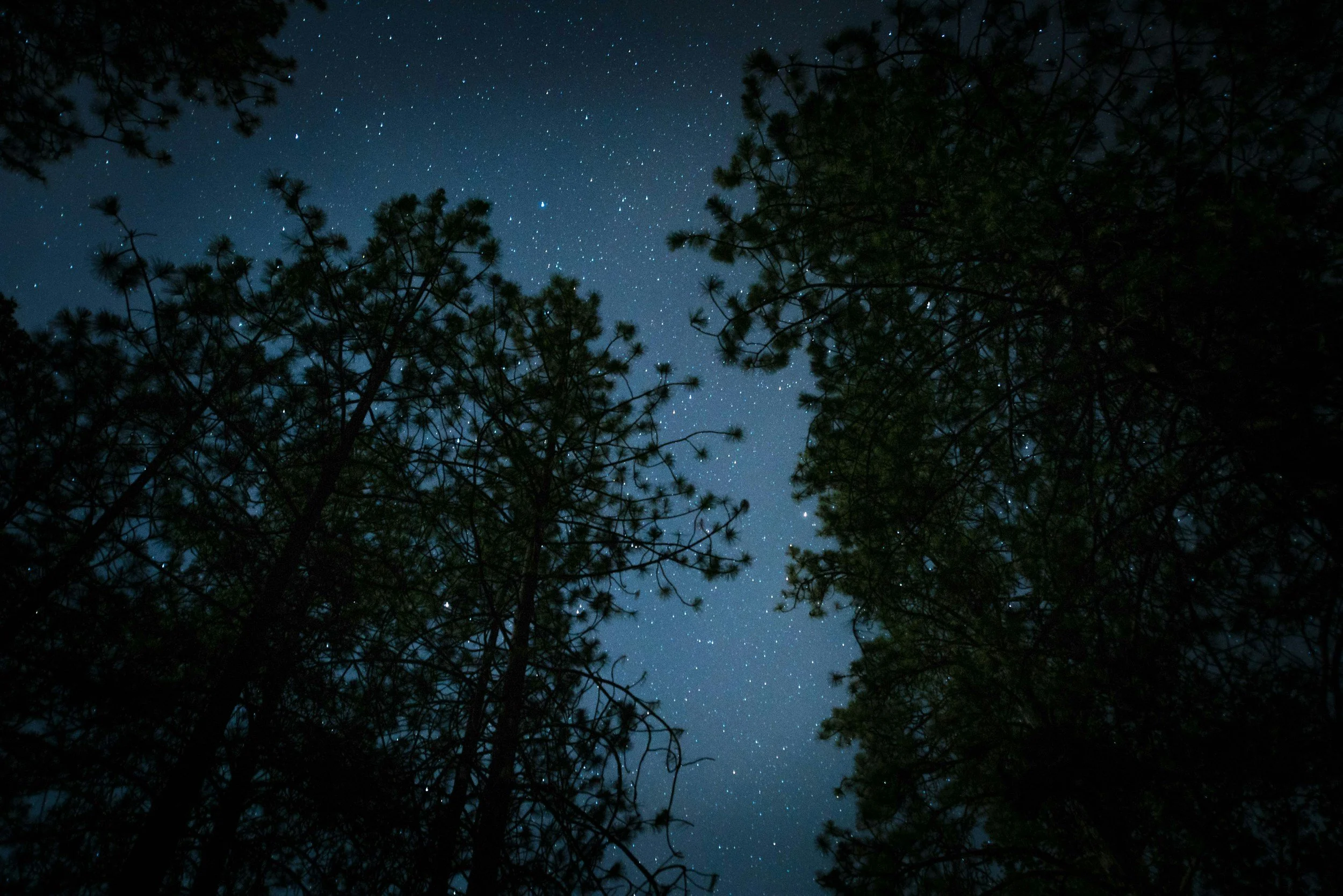 unsplash-image-M-ry6MXCbek.jpg