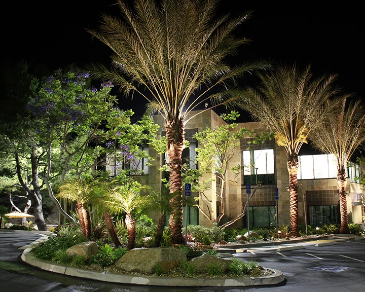Torrey Hills