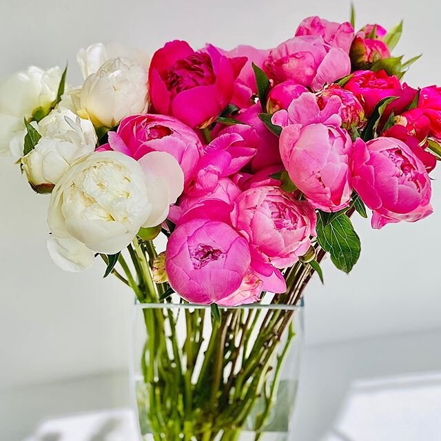 Incredible peony&rsquo;s sourced from @thefreshherbco #denverbouquets #denverflowers #denverfreshflowers #peonyseason #cherrycreekbouquets #denverfreshflowerbouquets