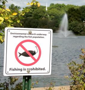 A fishy situation: Sizing up the population in Centennial Lake