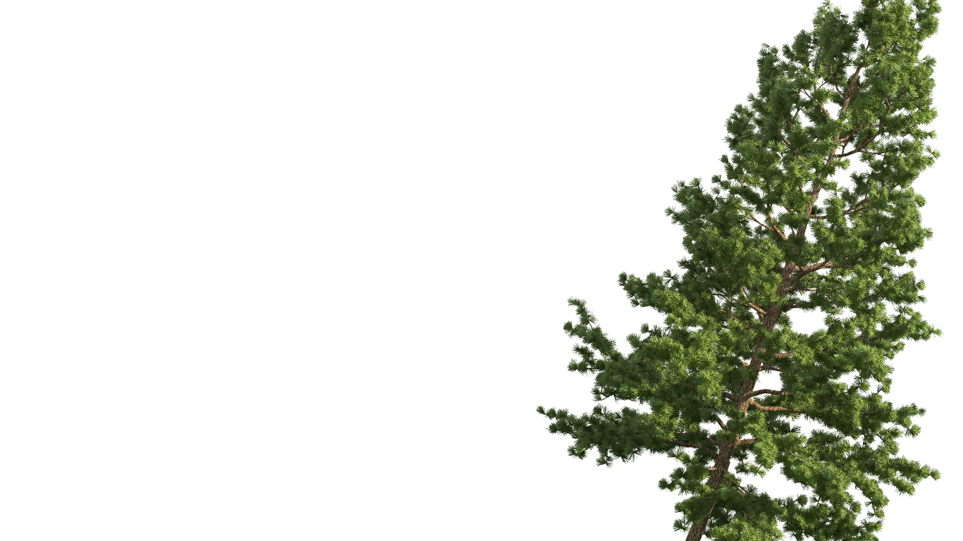 tree.png