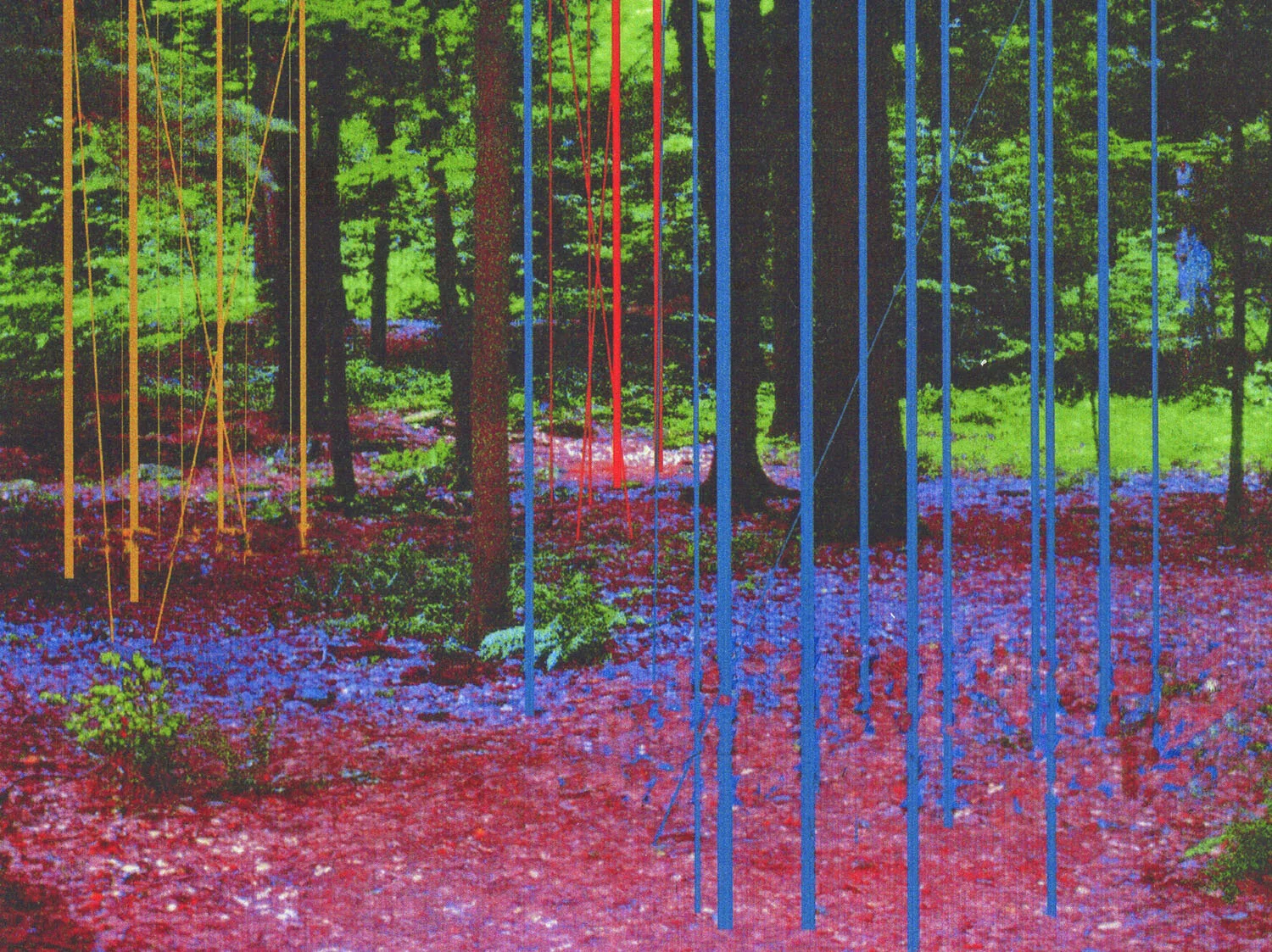 LIGHT POLES2.jpg