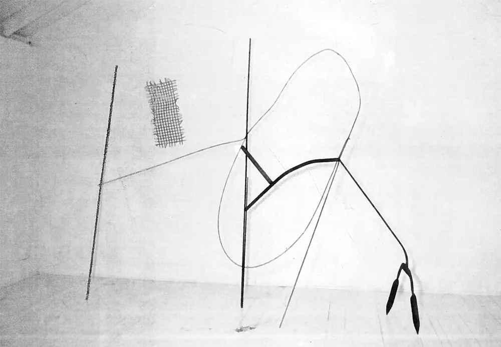 WALKING STICK