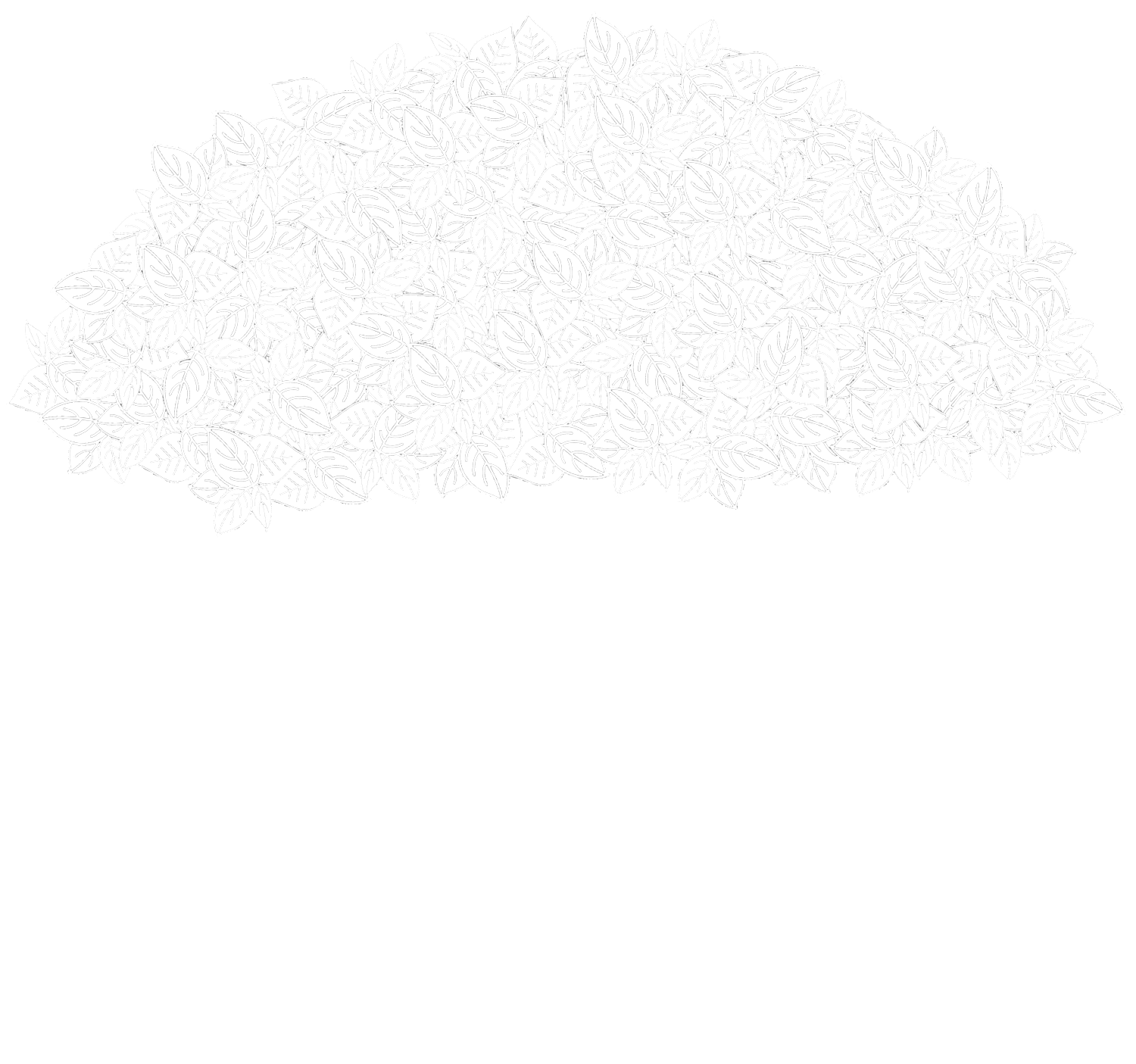 Mordecai Beverage Co.