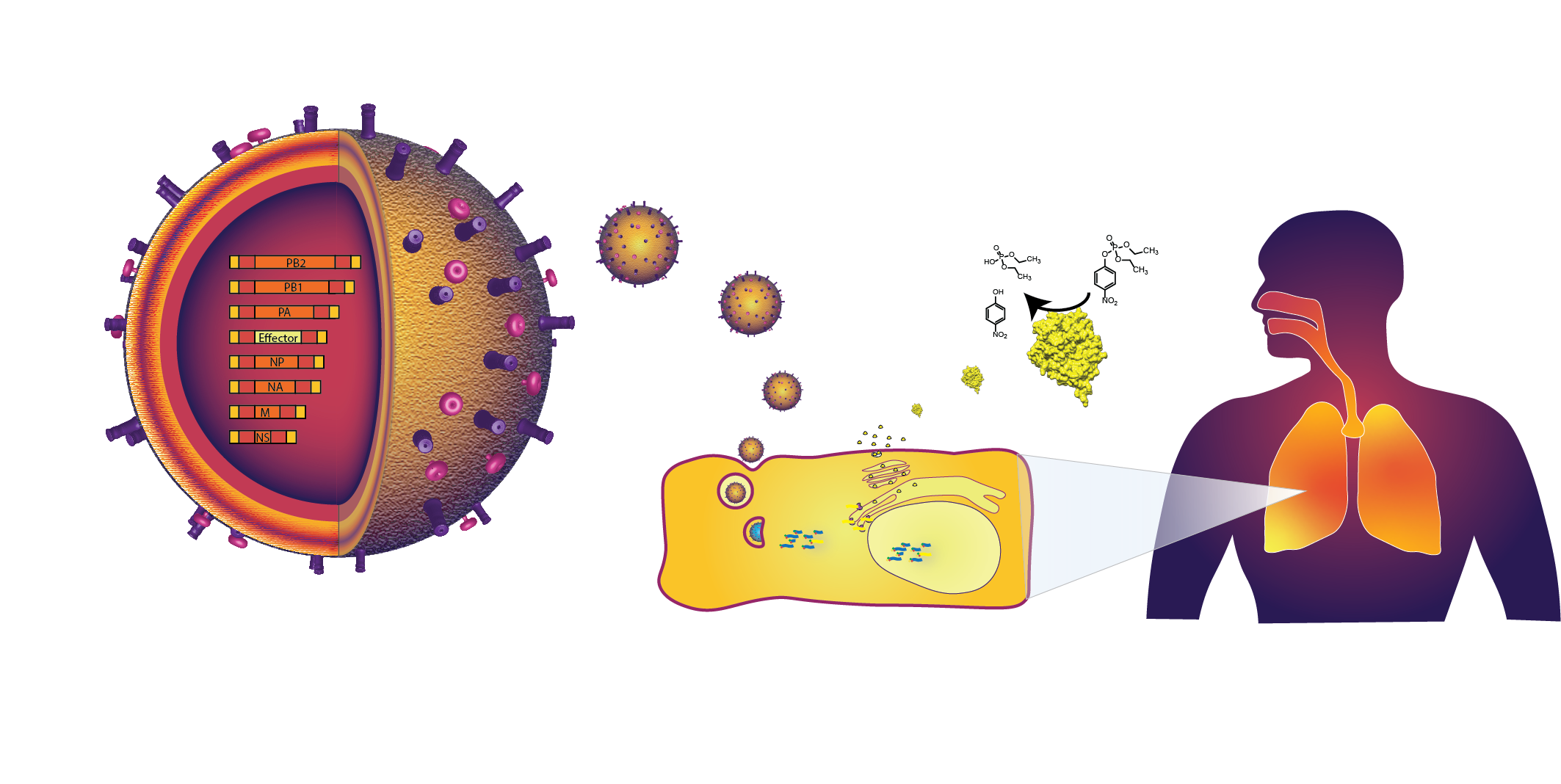 complexSystems.png