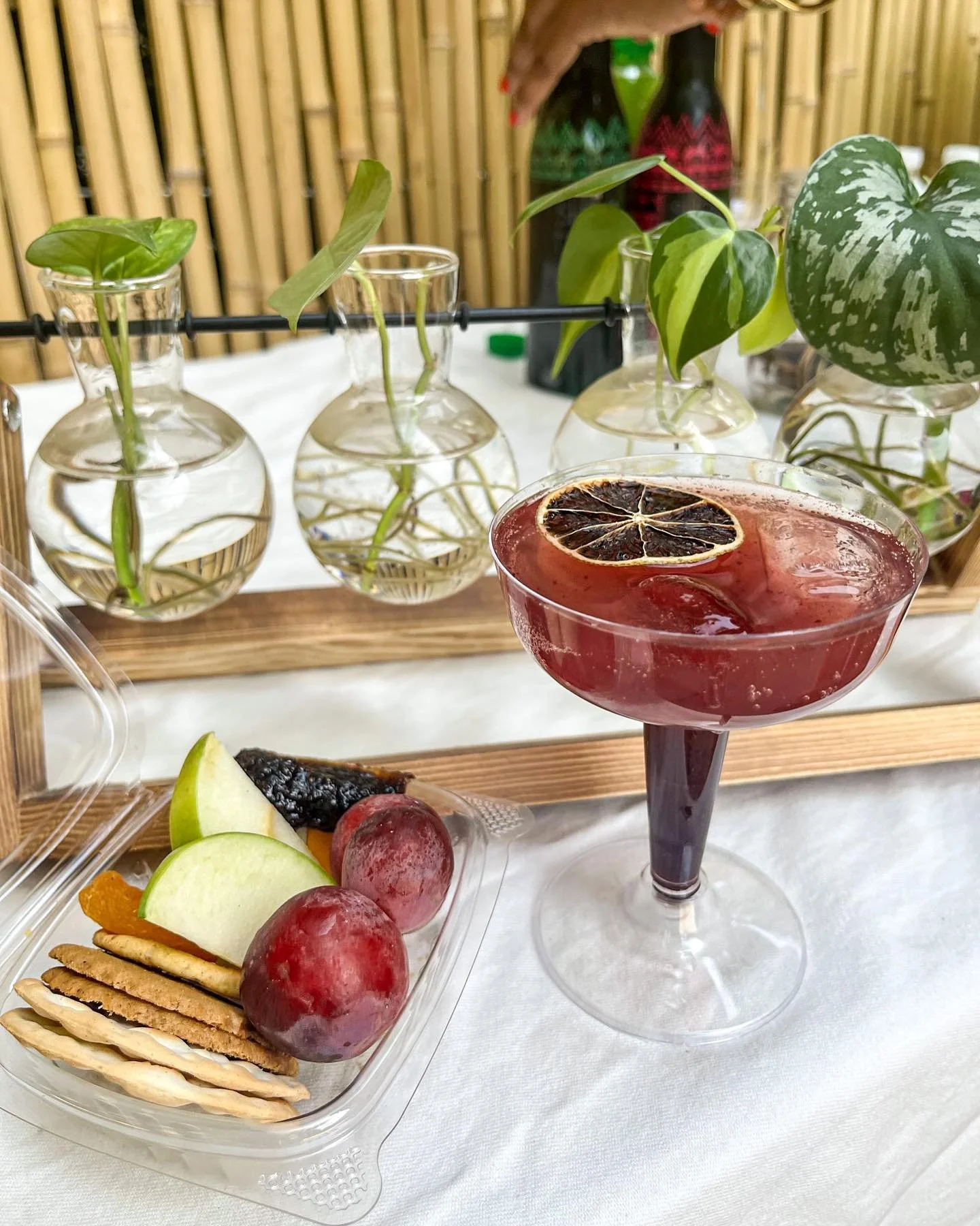 More from our Propogation 101 Workshop x @brooklynplantclub, in @teiamcommunityclubhouse&rsquo;s backyard space 😁