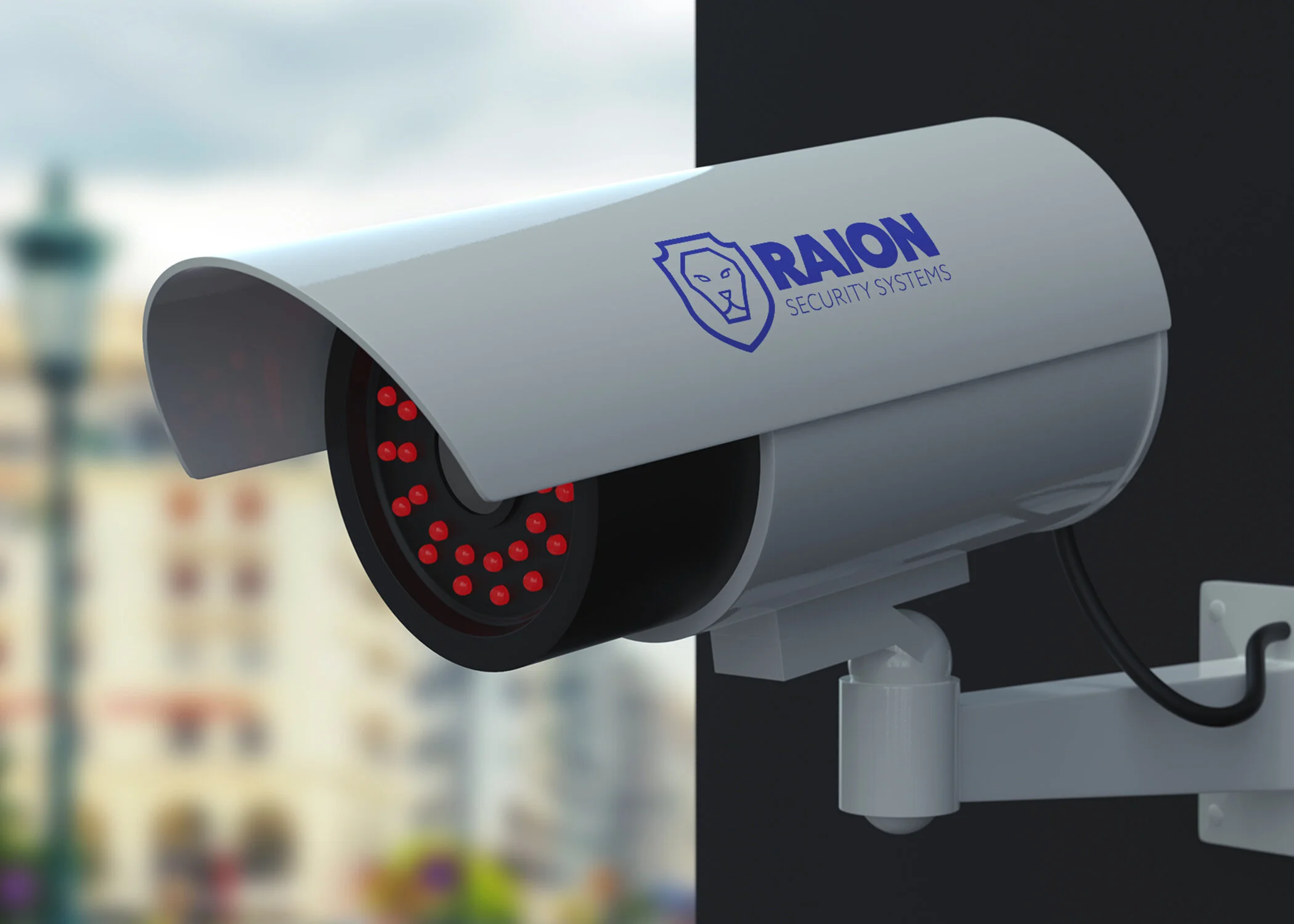 Camera-Raion.jpg