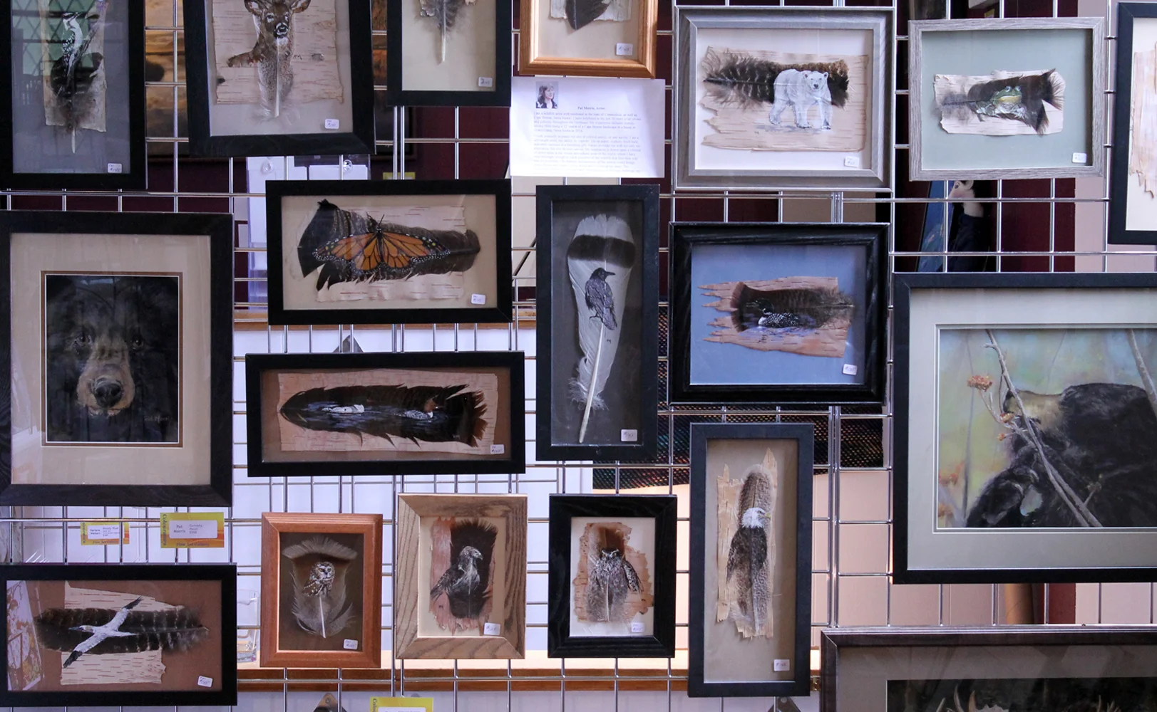 Collection of painted feathers