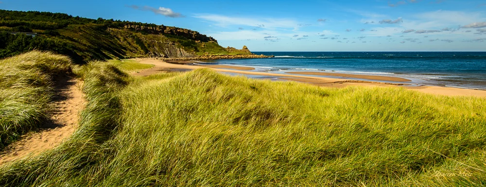 Chimney Corner