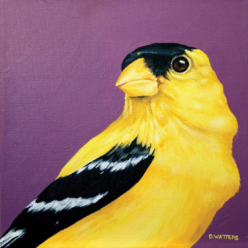 Goldfinch