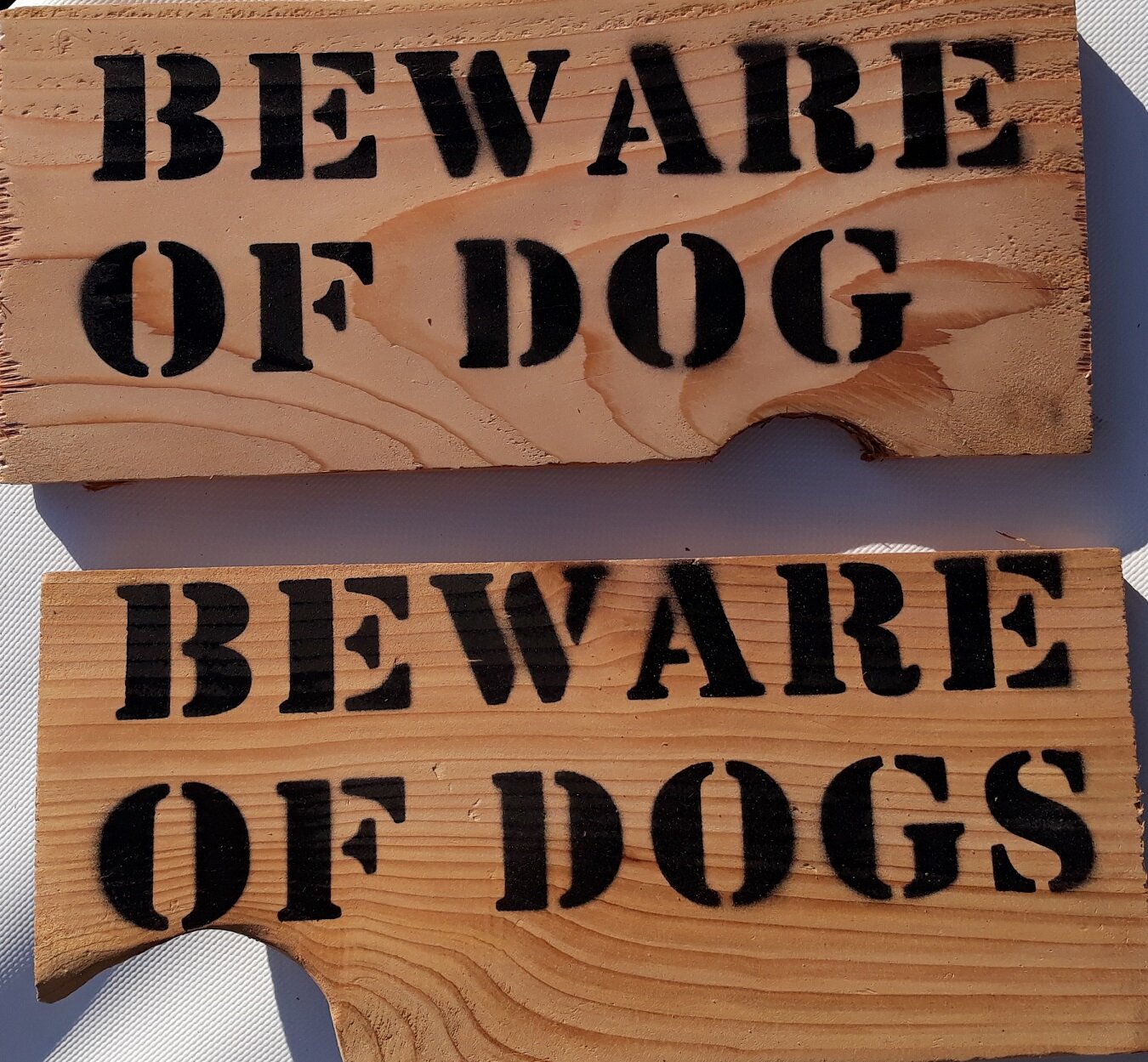 beware dog.jpg