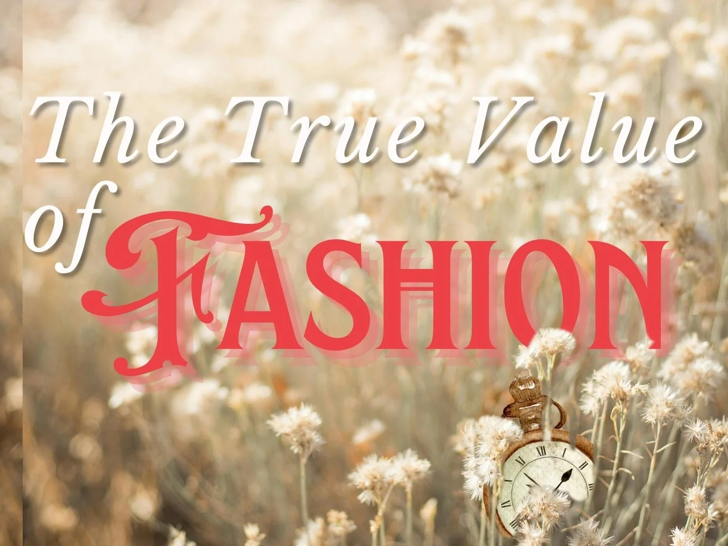 The True Value of Fashion