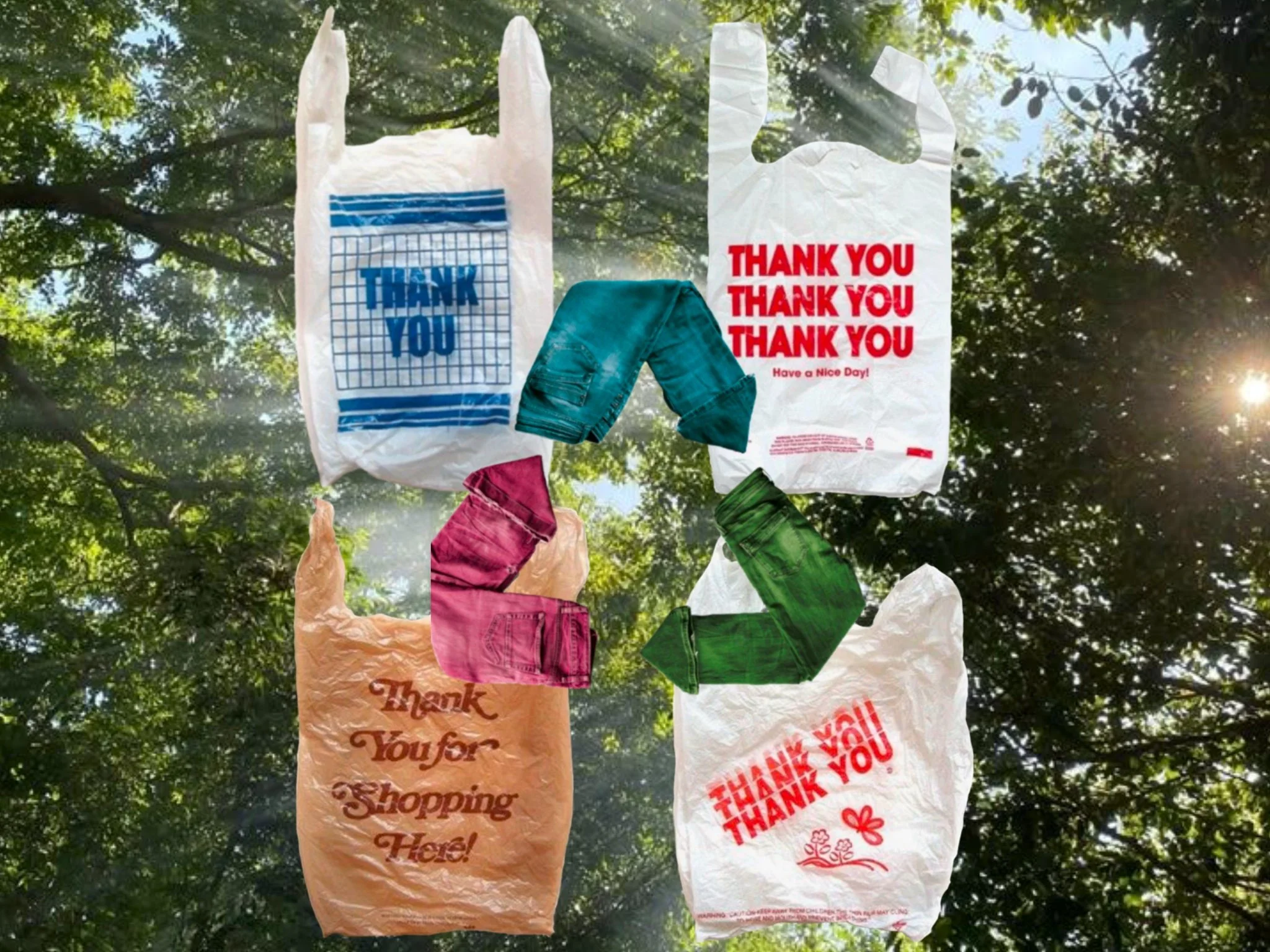 Our Planet vs The Fashion Industry 