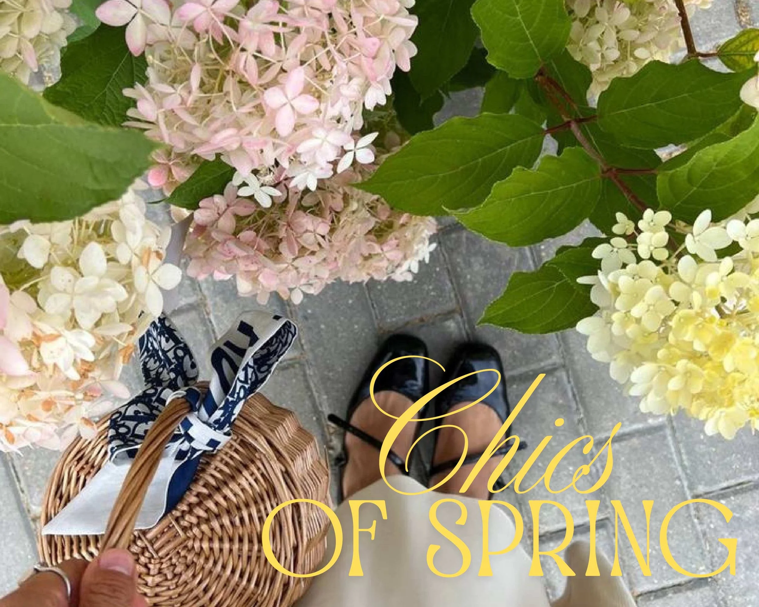 Chics of Spring
