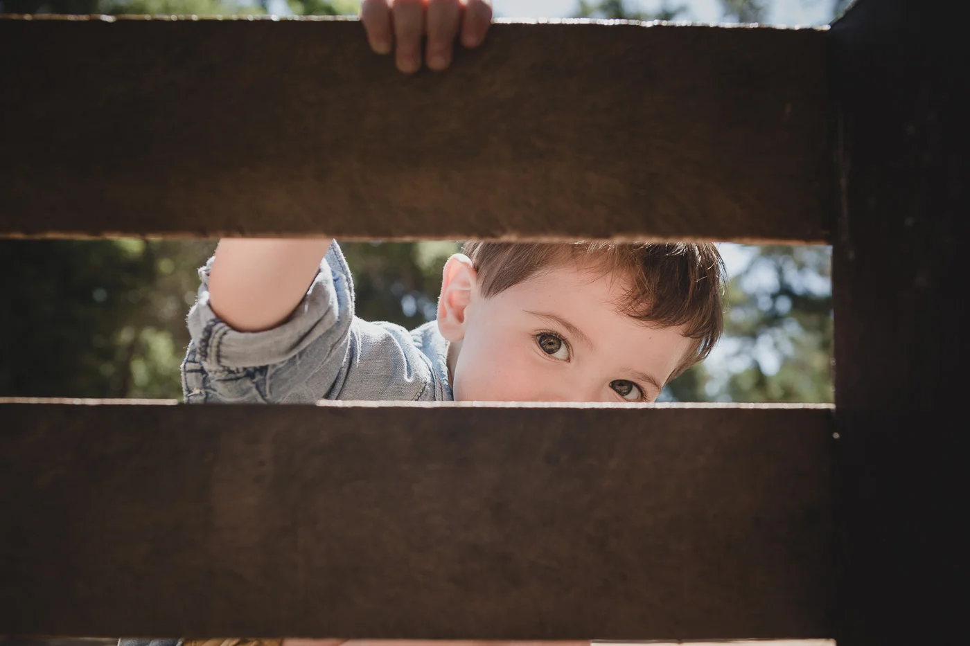 Authentic-Bay-Area-Family-Photography-Lifestyle-Photography-San-