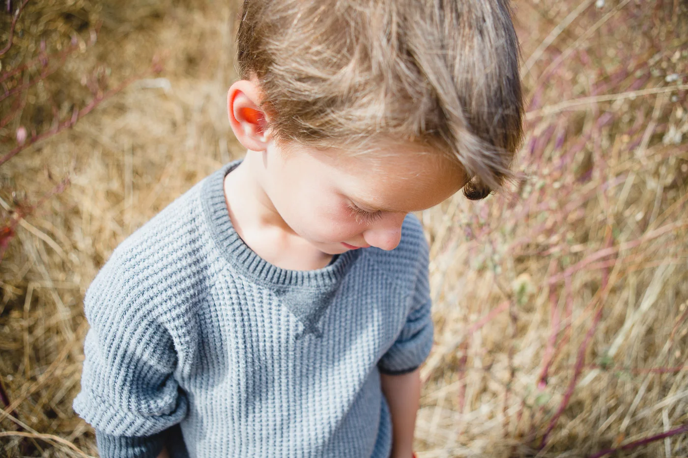 Authentic-Bay-Area-Family-Photography-Lifestyle-Photography-San-
