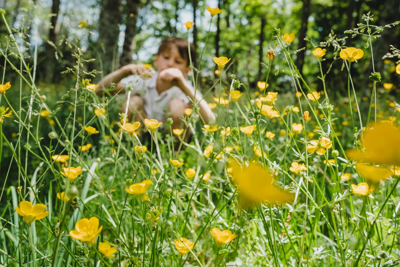 travel-with-kids-france-spain