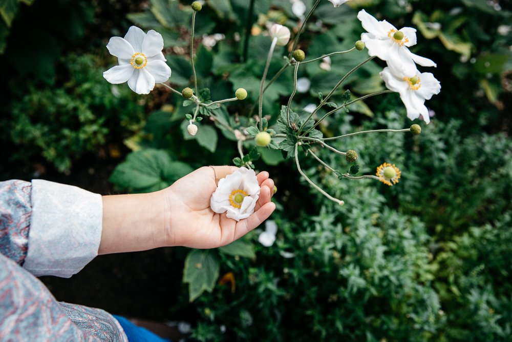 outdoor garden family photography session in Palo Alto, CA by Al