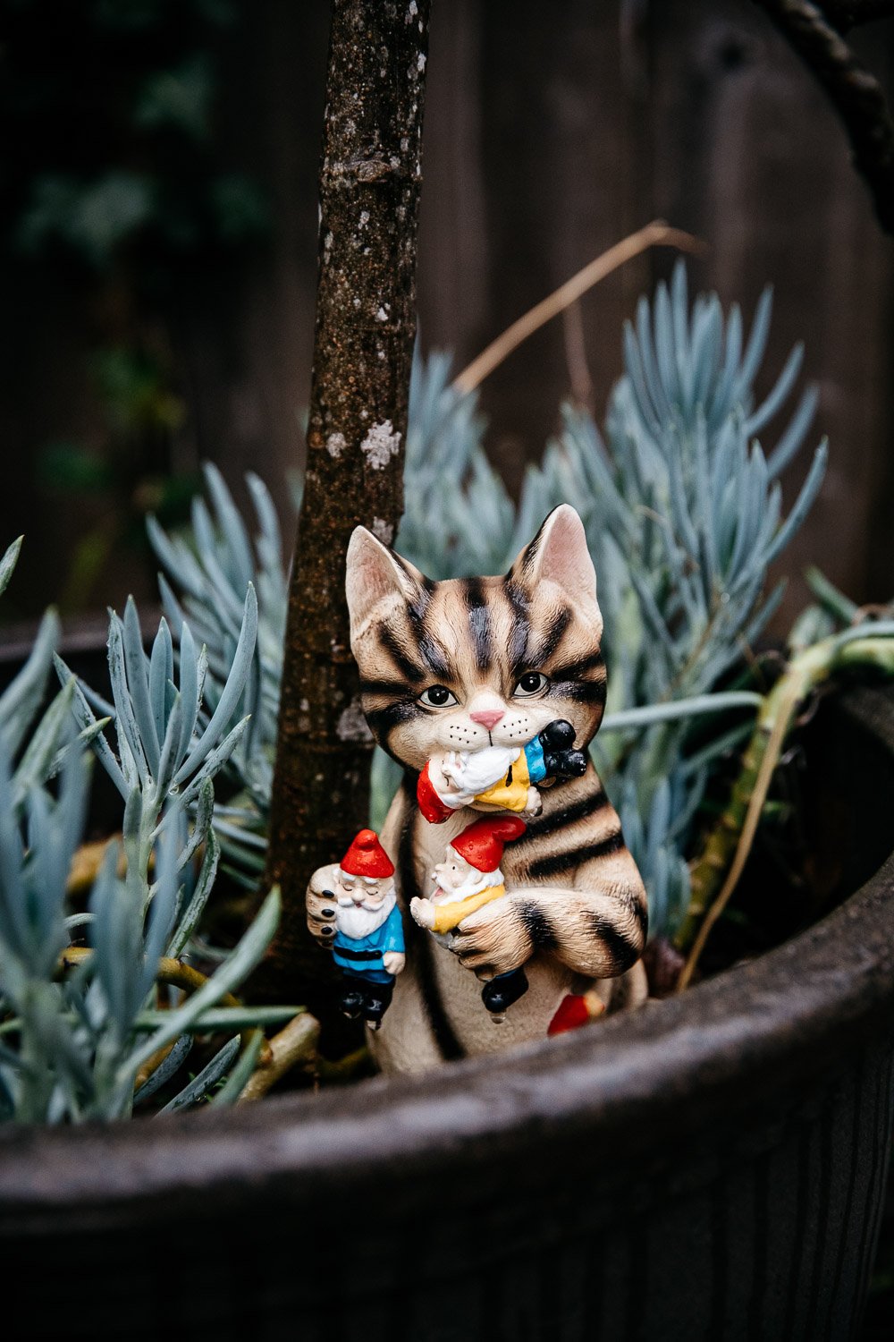  close-up shot of garden decor of cat eating gnomes, shot in Berkeley by family photographer Allison Busch Photography 