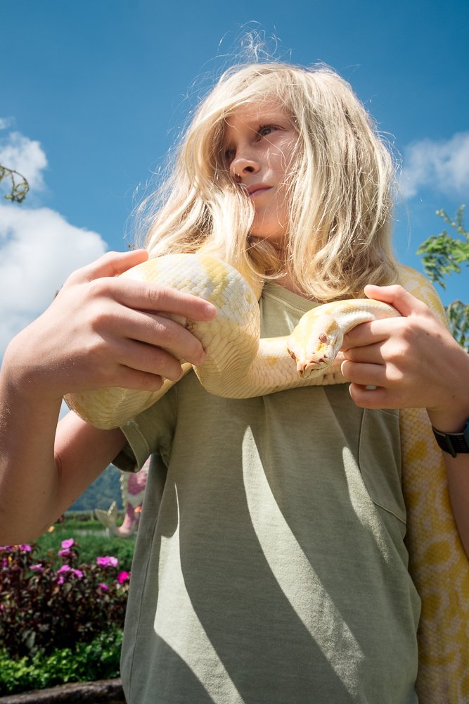 document of family travels thorugh Bali, by Allison Busch Photog