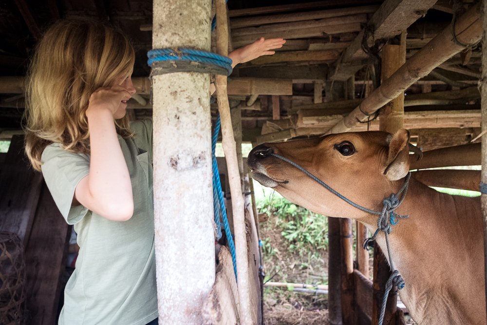 document of family travels thorugh Bali, by Allison Busch Photog