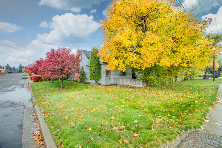  Lawn and trees with fall colors in front of a home. 