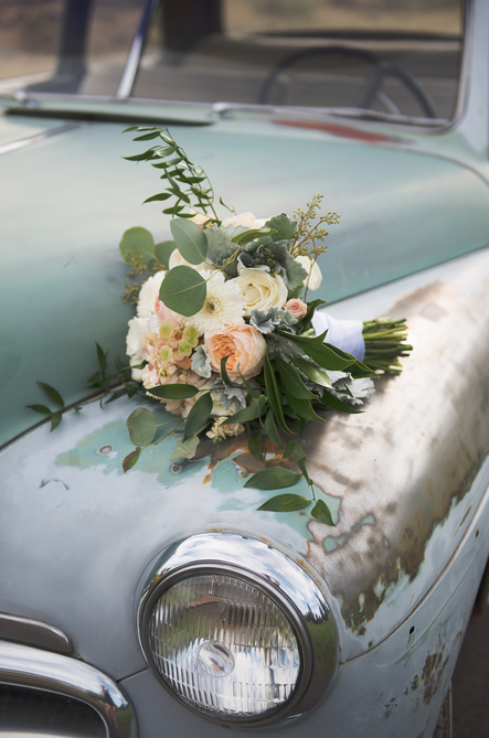 AmandaMaeImages-Bend 2019-08-18 at 12.59.50 PM.png