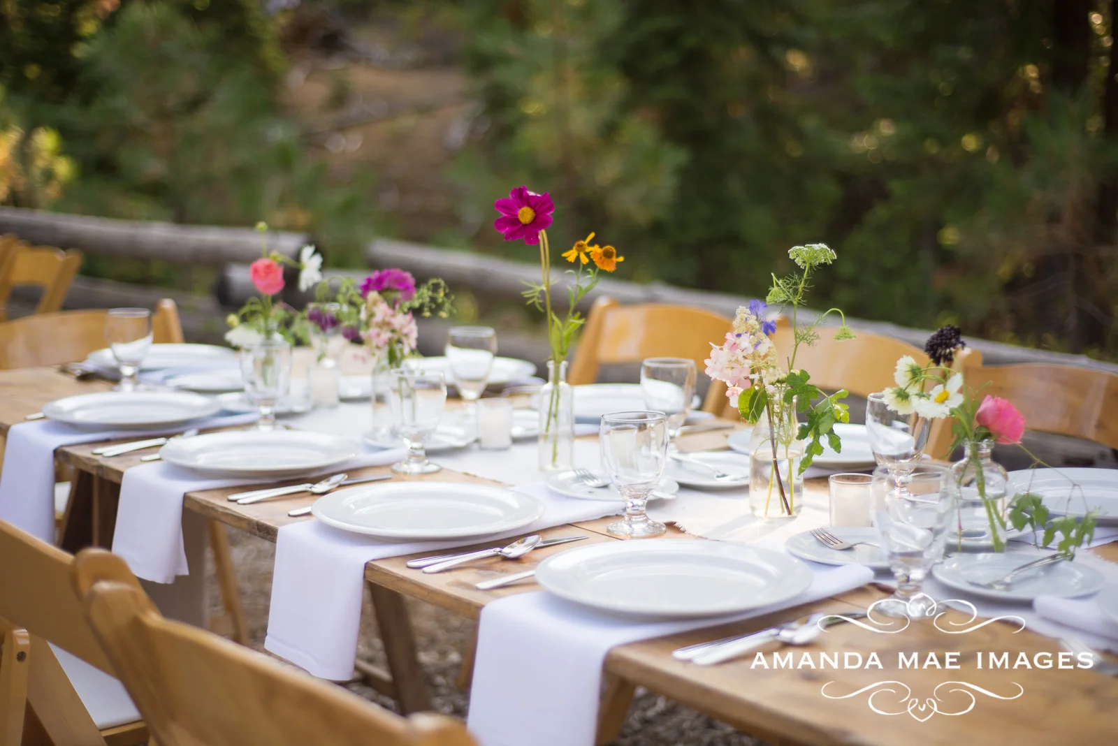 AmandaMaeImages-SeanRachel-7111.jpg