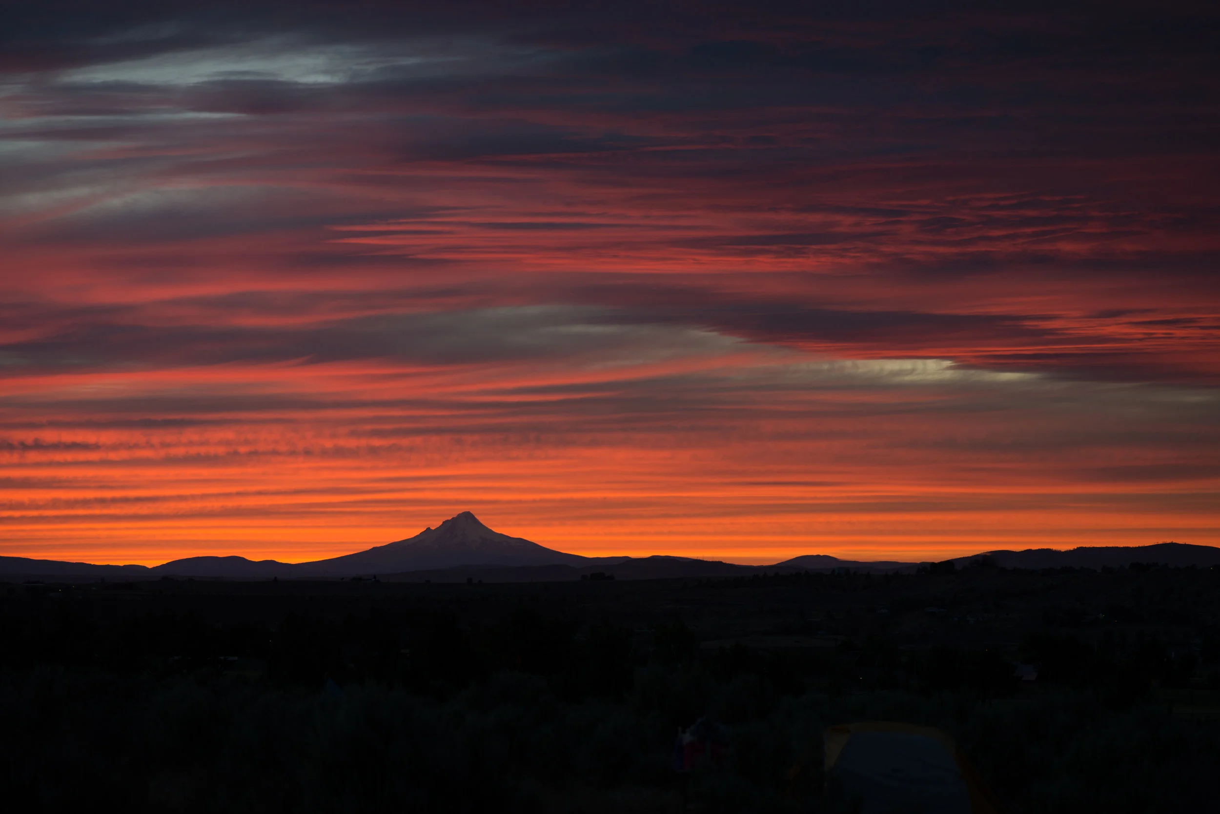 DSC_2263.jpg