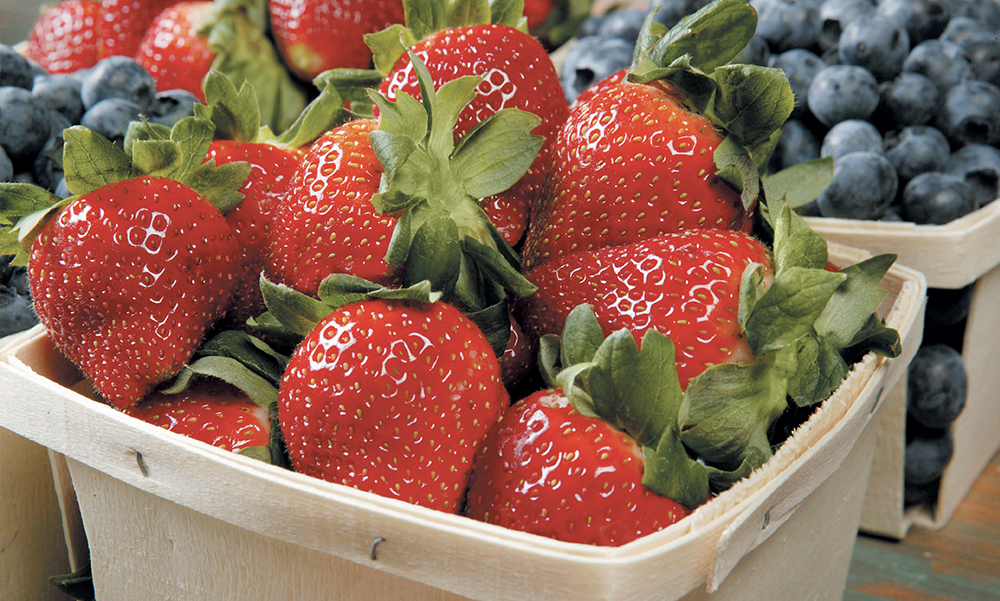 berries.jpg
