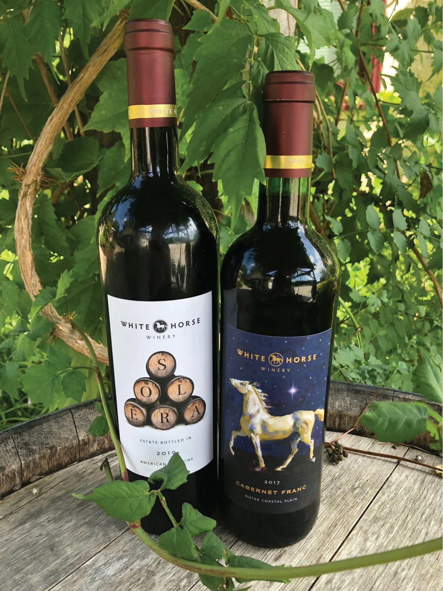 WHWSolera&CabFrancBigHorse.jpg
