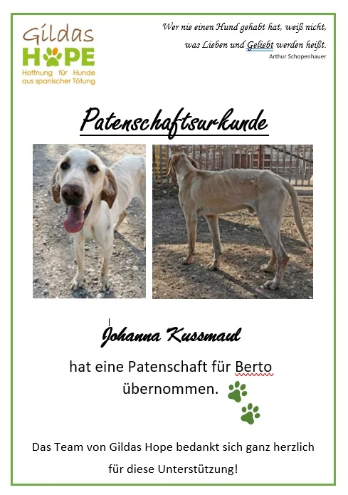 Patenschaft.jpg