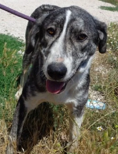 Matilde11.jpg