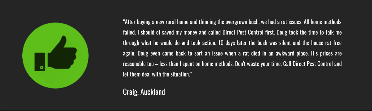Direct Pest Testimonial - Craig, Auckland.png