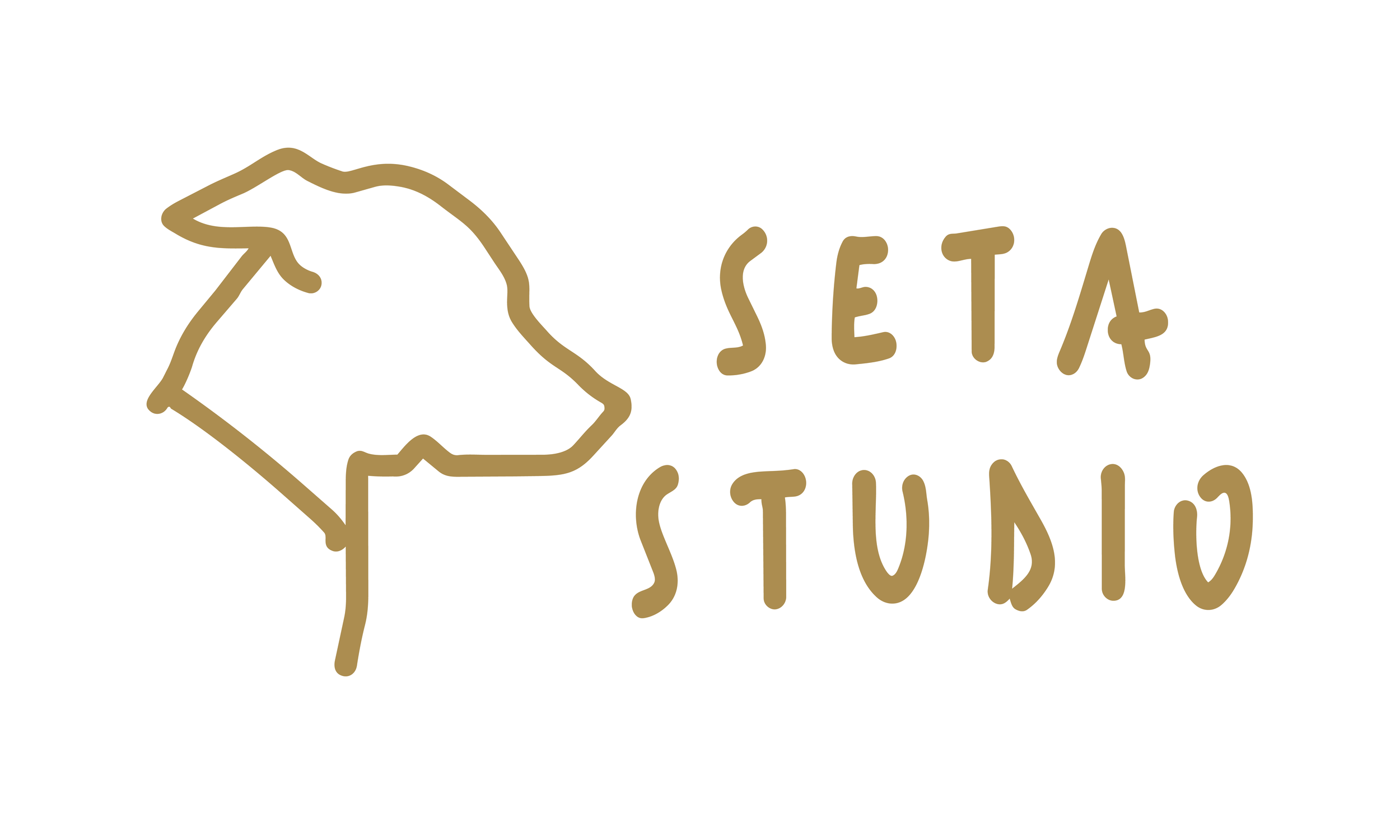 Seta Studio 