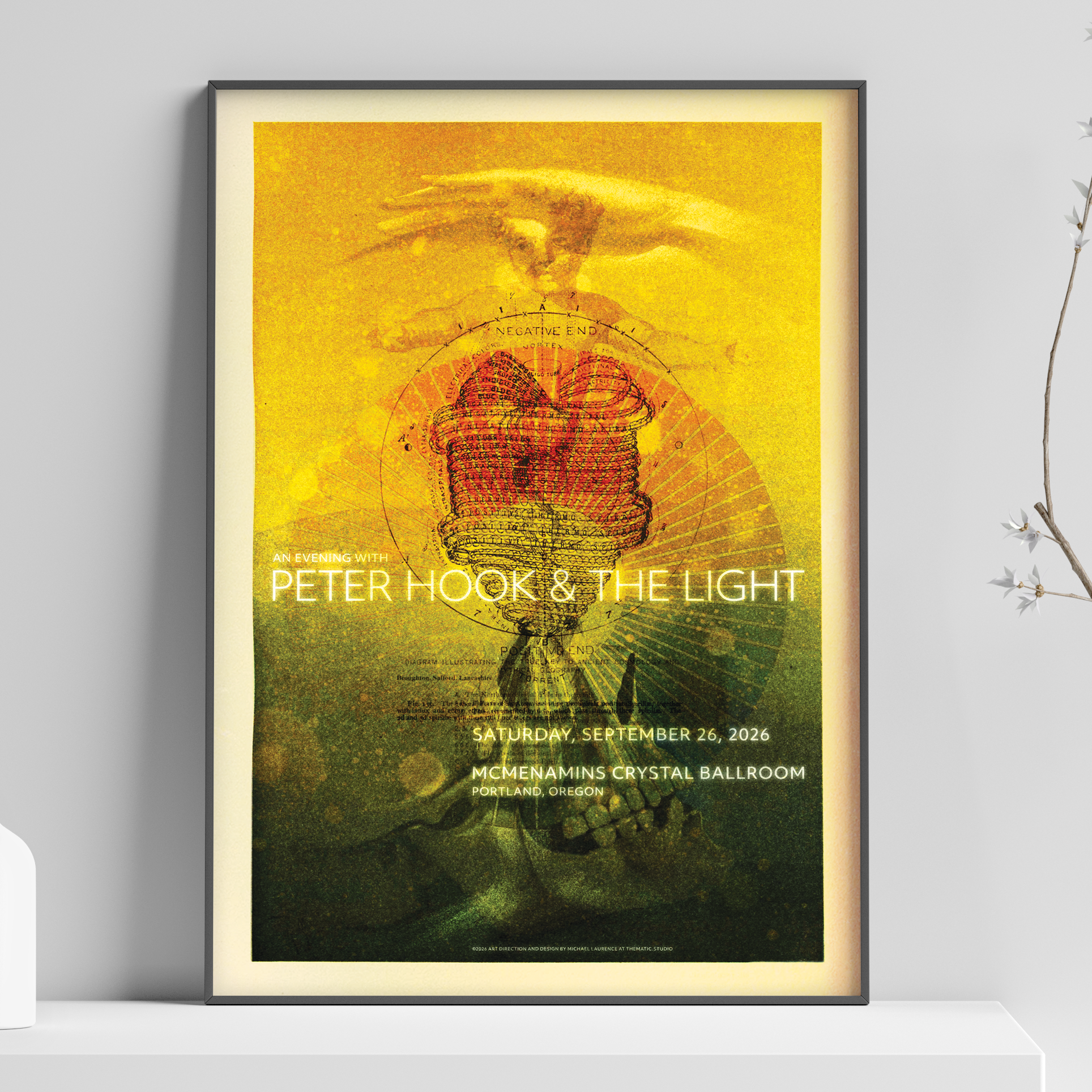Peter Hook & The Light Poster