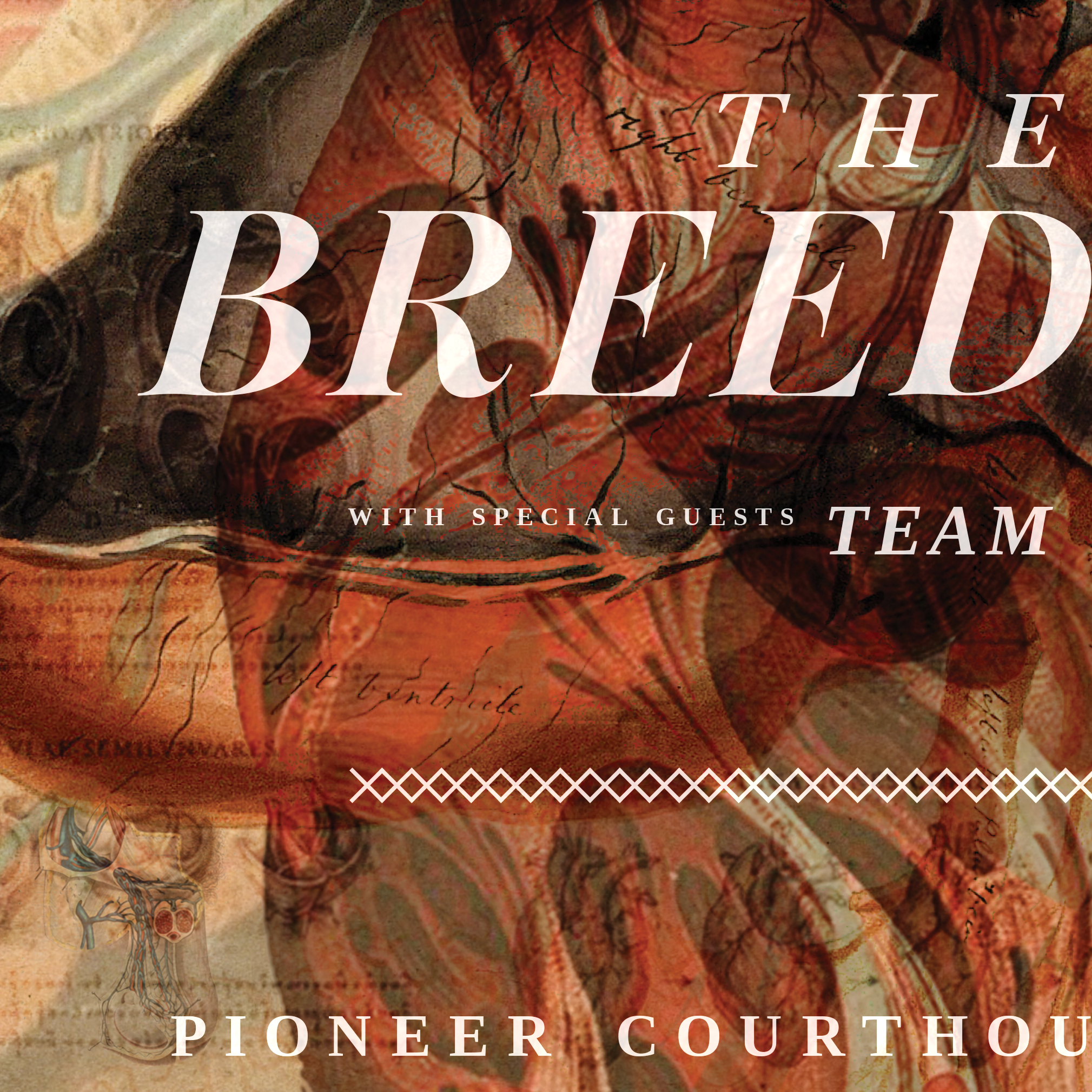 Breeders_IG7.png