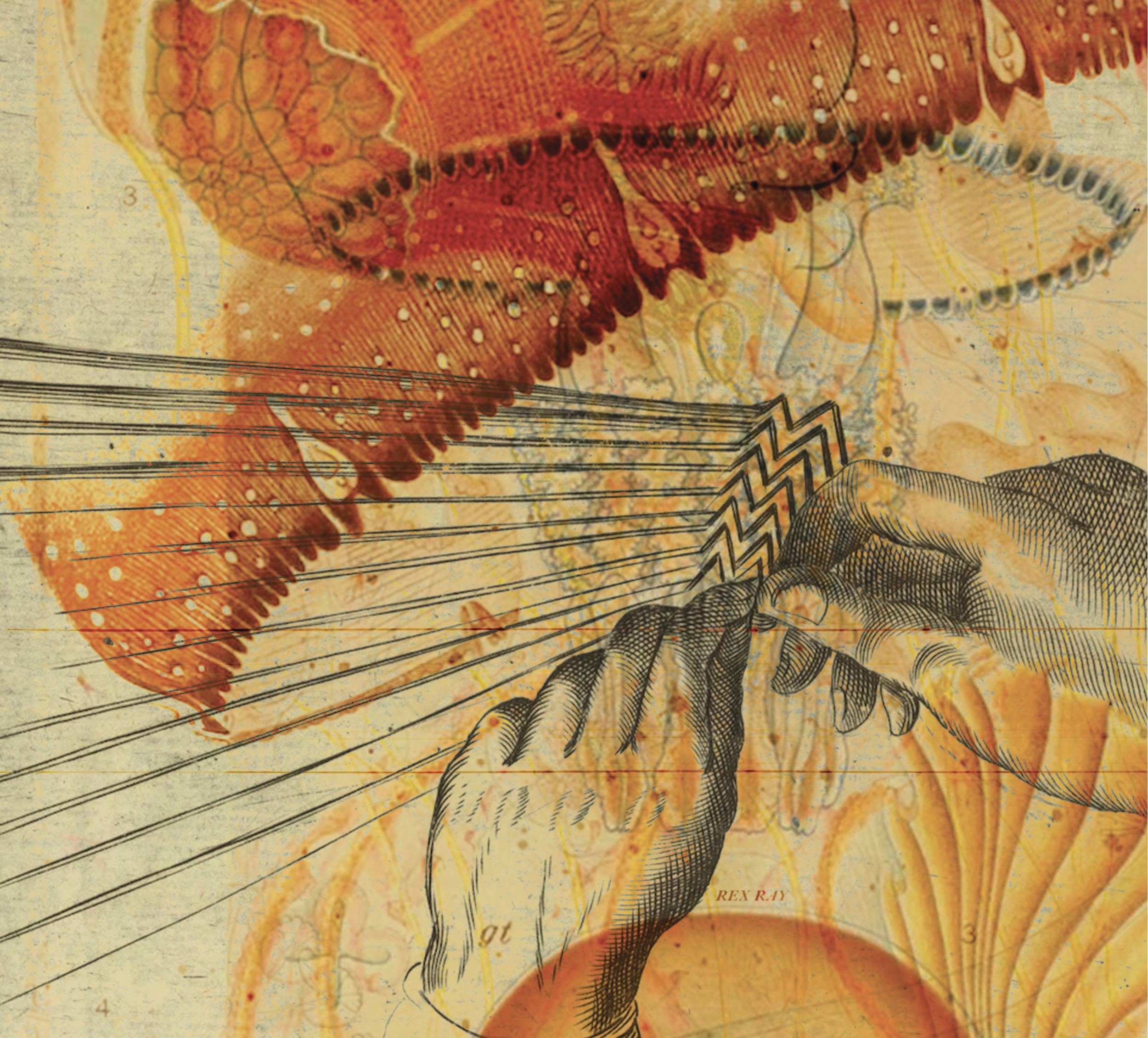 LCD Poster Detail 3.png