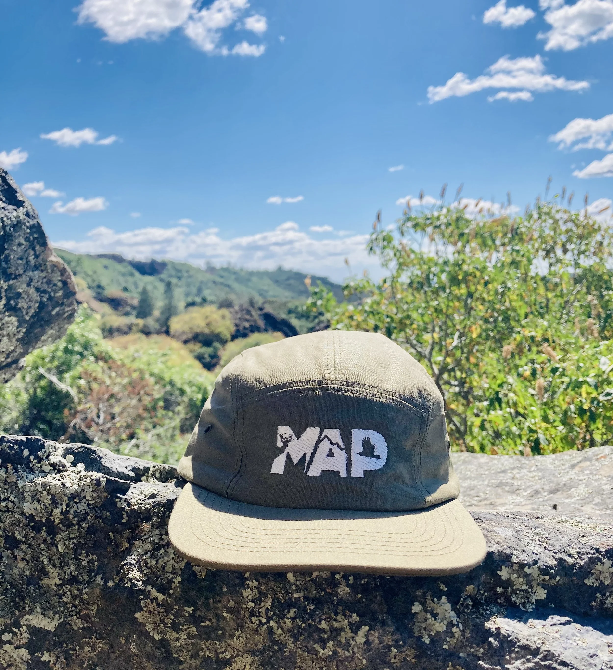 Camper 5 Panel_4.jpg