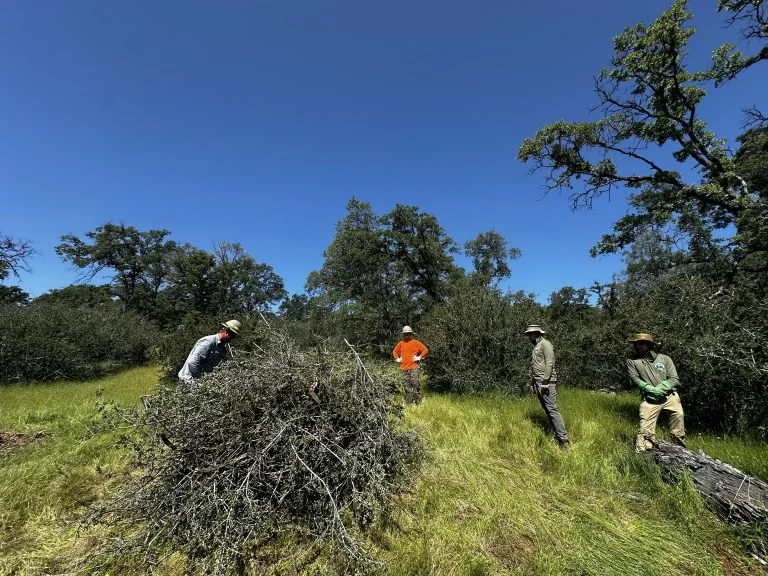 AmeriCorps cuts hit Tahoe: ‘This is not just about losing funding’