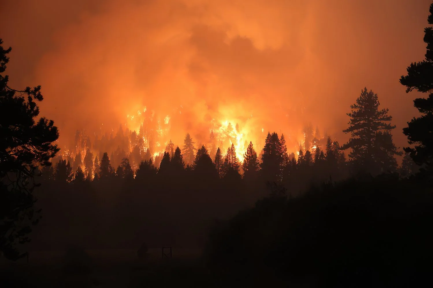 The Past, Present, and Future of Wildfires in the West