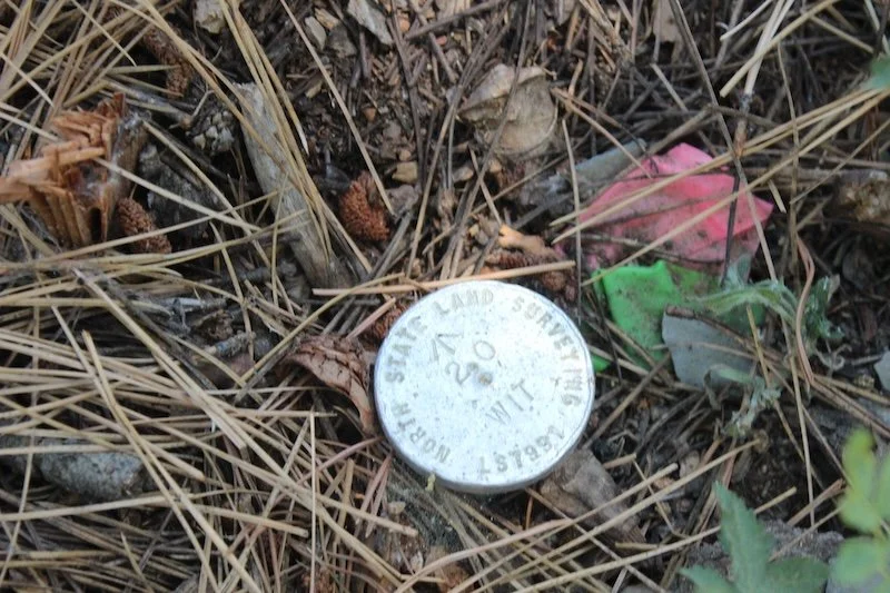 California Tahoe Conservancy parcel surveys to take place this summer