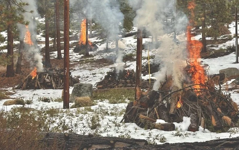 Tahoe receives approval of first two fuels reduction projects under Governor Newsom’s fast-tracking