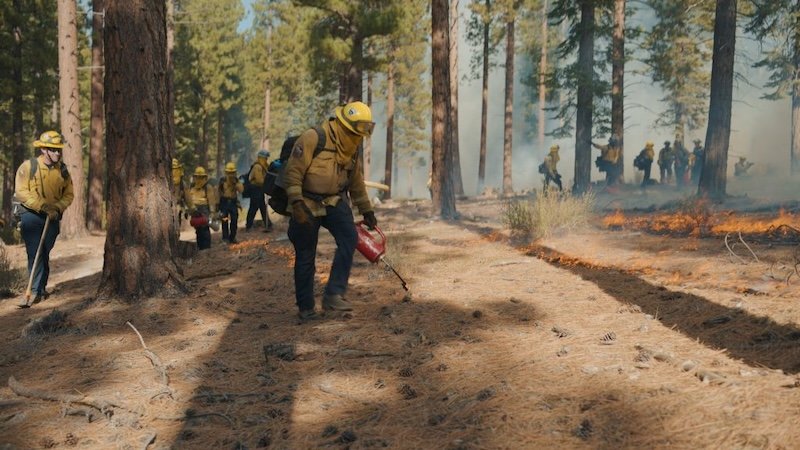 Prescribed Burn Planned for Waddle Ranch 