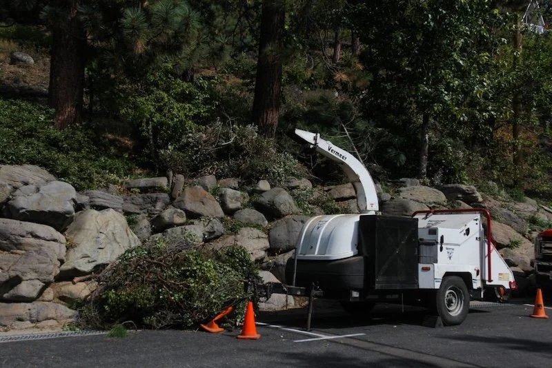 Brockway Springs fuels reduction project puts minds at ease