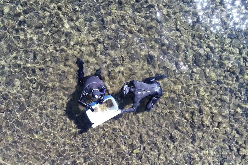 Lake Tahoe algae experiment suggests seasonal shifts ahead