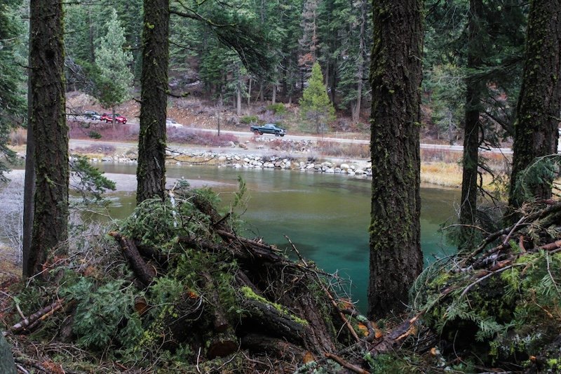 Fuels reduction along popular Tahoe road wraps up, a step forward in evacuation safety